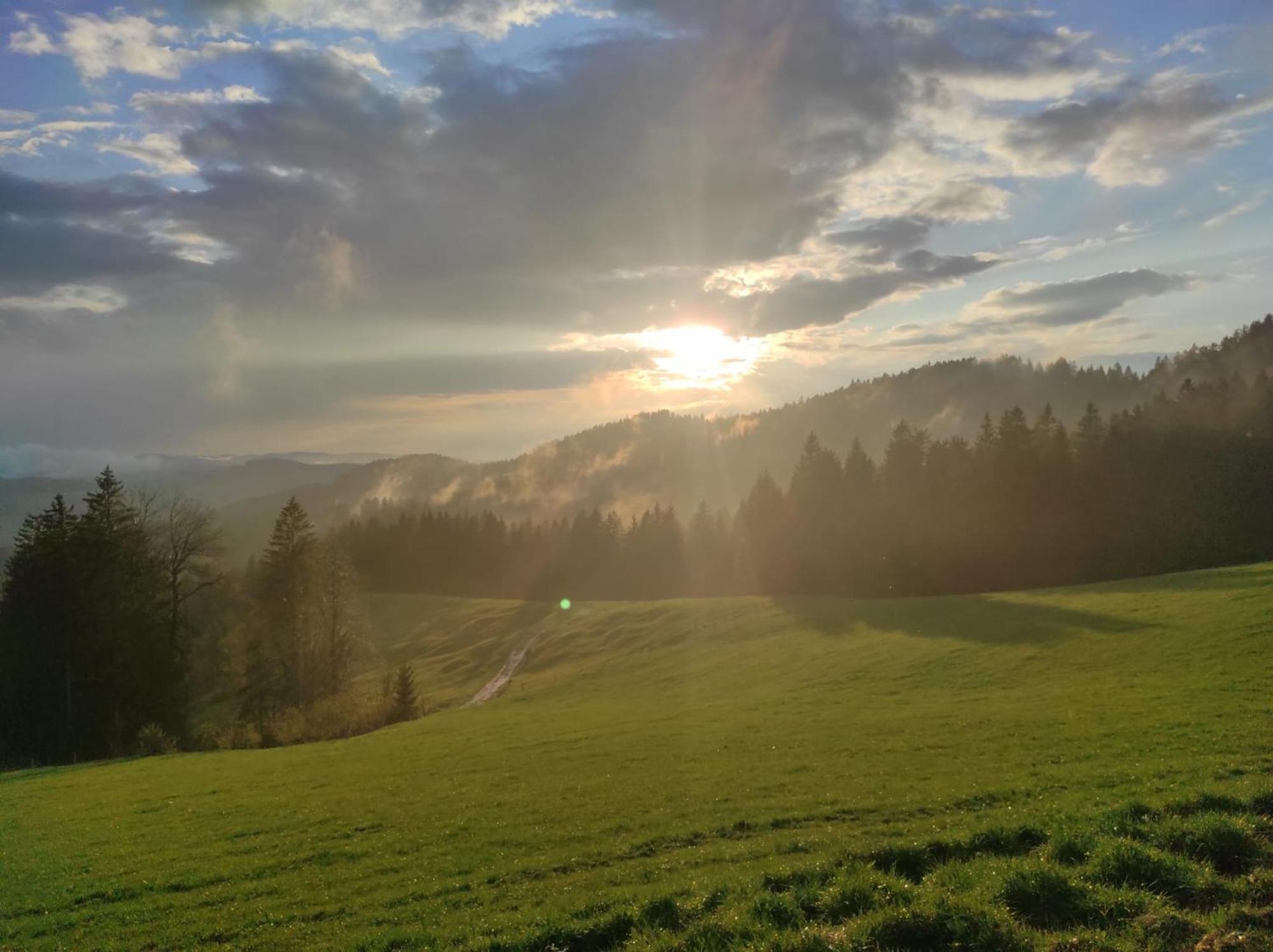 Sonnen-Juwel - Hallenbad-Sauna-2 Getrennte Schlafbereiche-Direkt An Der Skipiste Missen-Wilhams Exterior foto